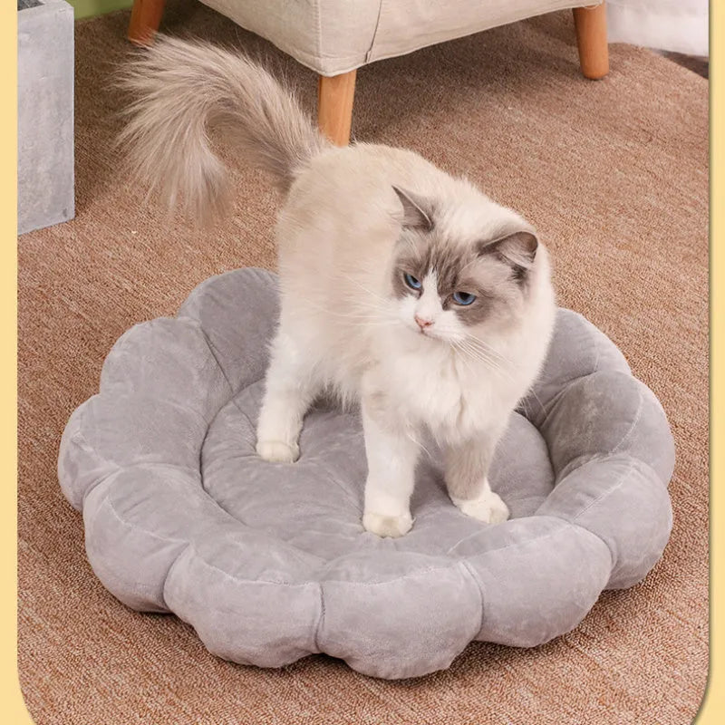 50cm square half-surrounded pet bed with plush fabric in multiple colour options
