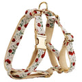 Red cherry print pet collar set with matching leash, vest, and gold buckle on dog model