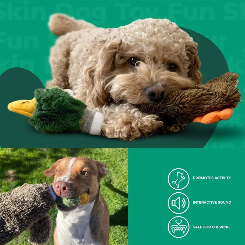 Wild duck design stuffless dog toy with squeakers for safe indoor chewing play