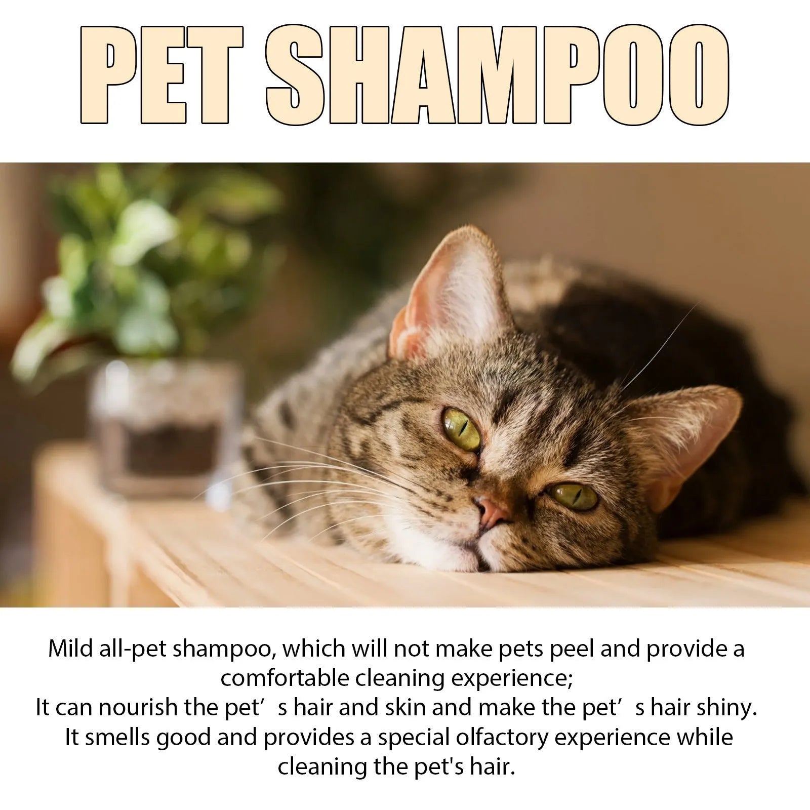 Mild pet shampoo bottle for dogs and cats in 100ml and 300ml sizes for fur cleaning