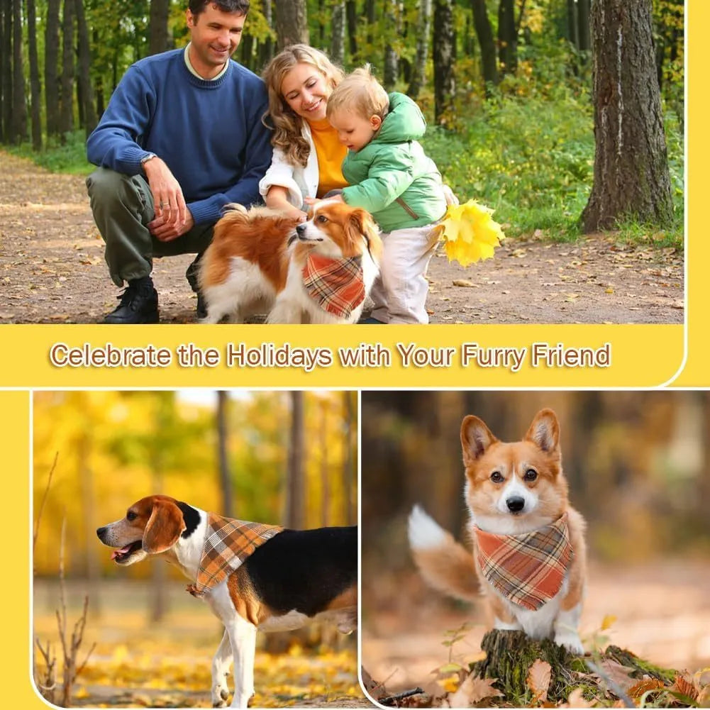 Autumn plaid dog bandana with tassel edges in seasonal colours