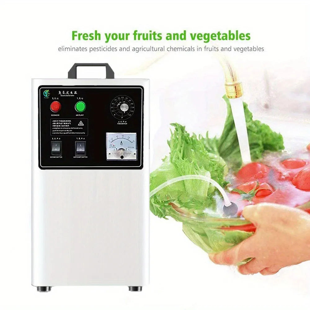 White or stainless steel ozone generator for cleaning fruits and vegetables with 20g/h output