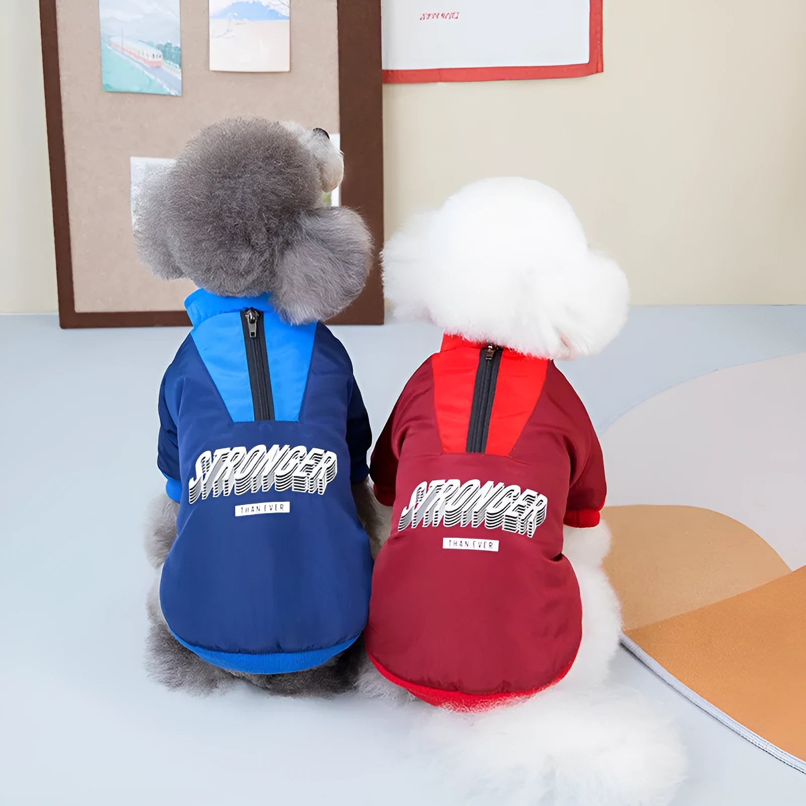 Red dog coat with V-shaped splicing design showing thick cotton construction and casual styling for pet wear