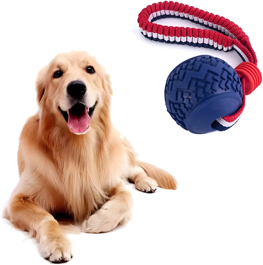 Blue and red durable rubber dog ball attached to a rope toy for small medium dogs