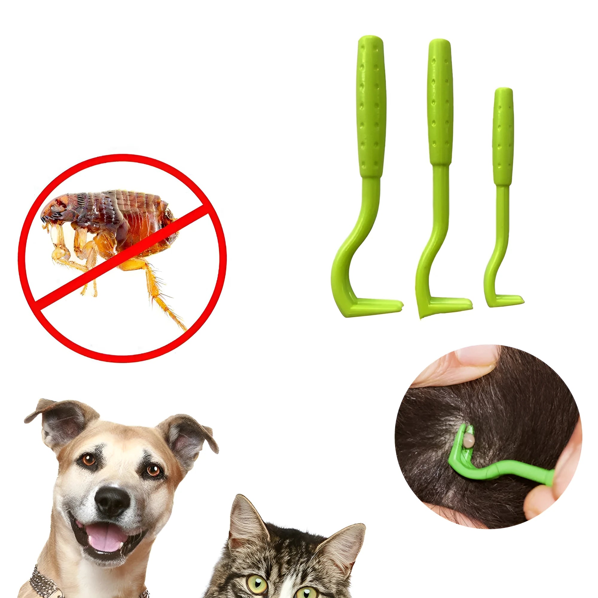 Three plastic hook tools for removing ticks from dogs and cats, in blue and green colours.
