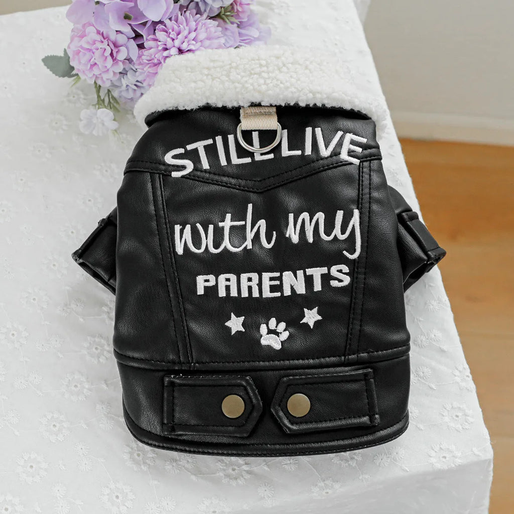 Dog wearing fleece lined padded coat in black colour with visible fleece lining at neck