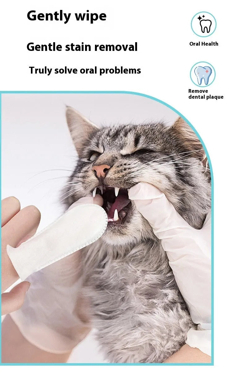 Pack of 50 disposable non-woven fabric finger cots for cleaning cat and dog teeth.