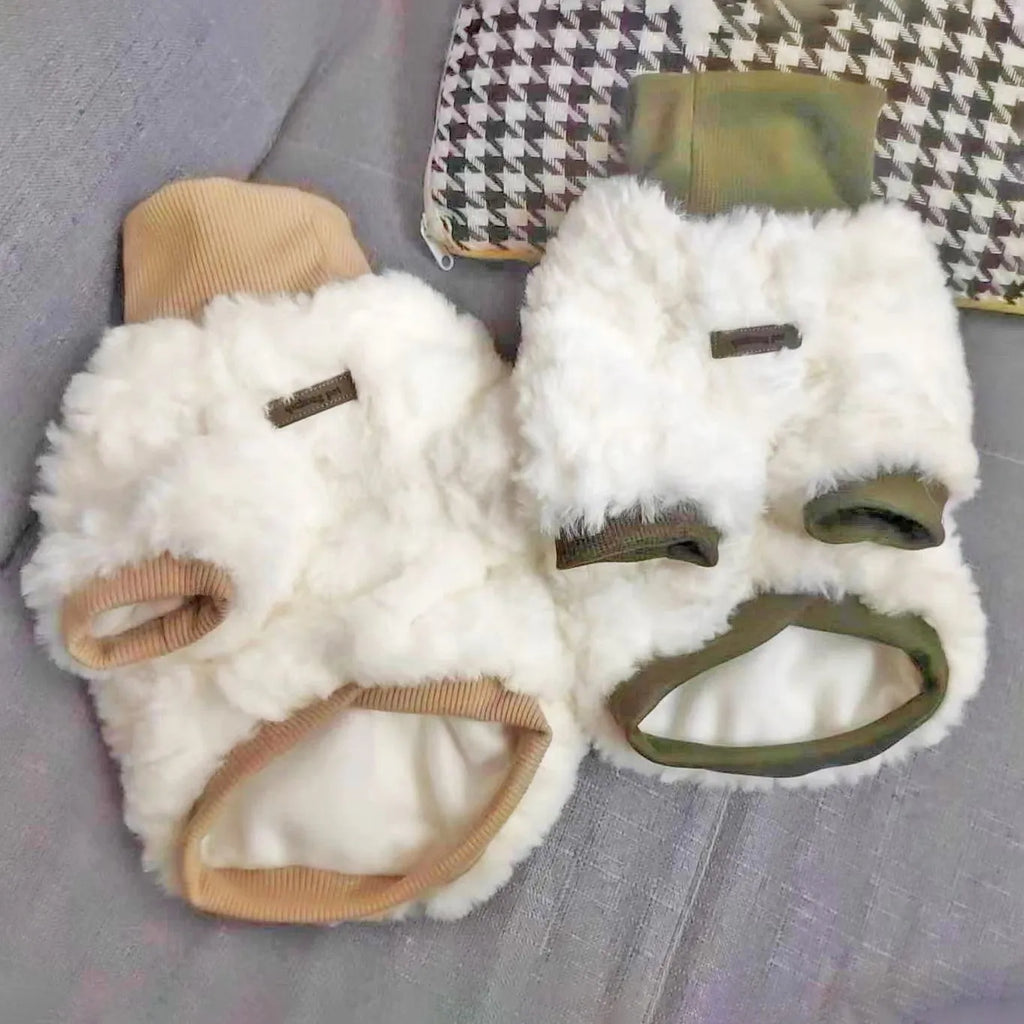 Creamy green plush turtleneck dog coat on a small dog, showing thick padding and high collar.