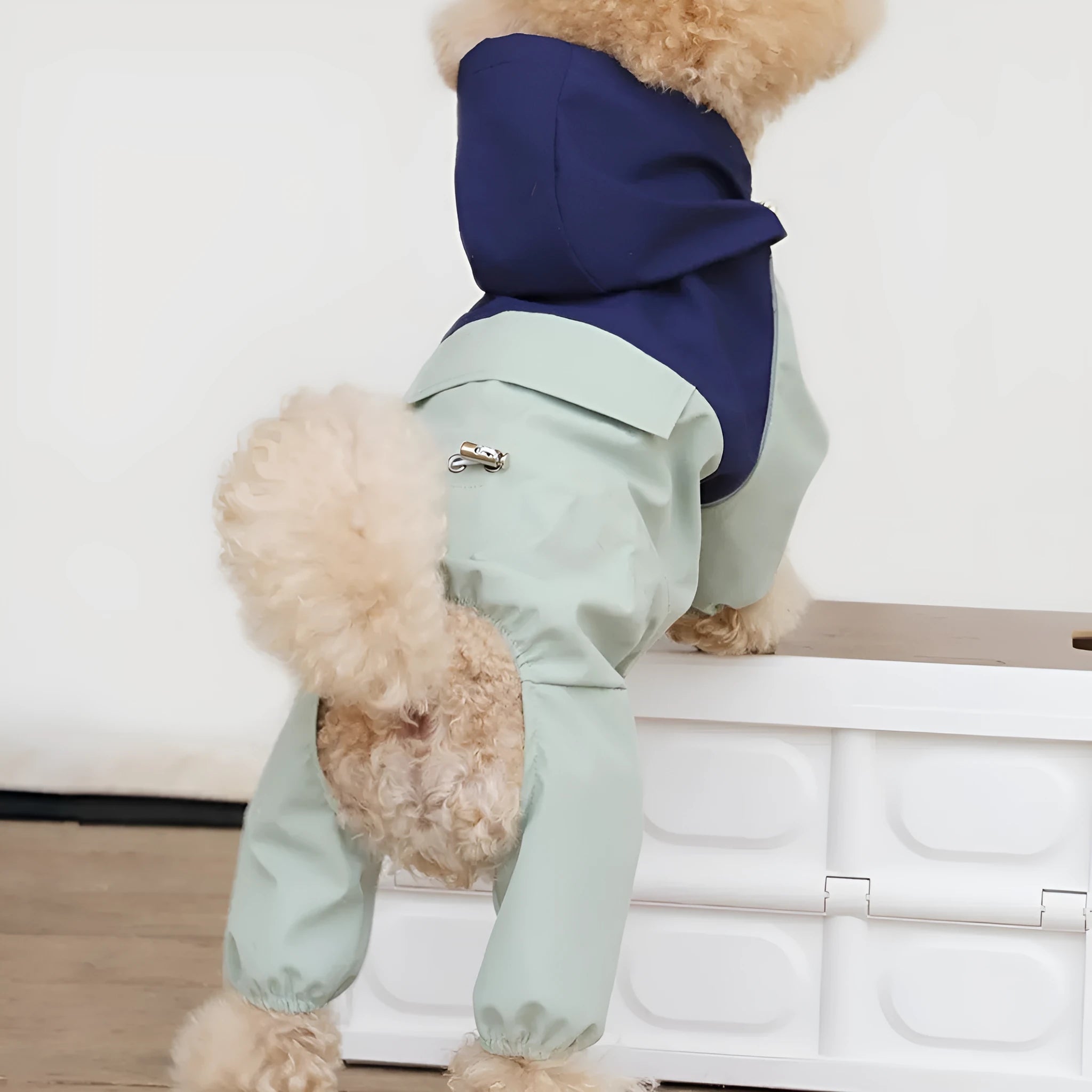 A khaki coloured British style waterproof shell jacket on a small to medium sized dog.