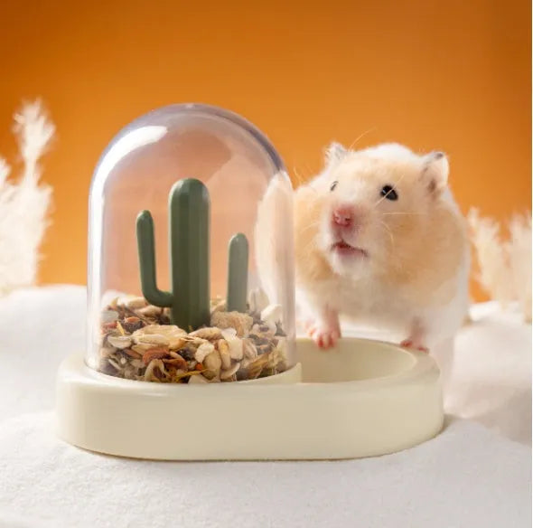 Creative cactus design hamster automatic feeder with transparent food compartment in mint green colour
