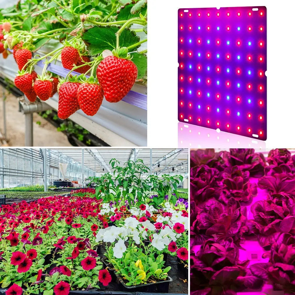 LED full spectrum plant grow light with aluminium housing shown mounted, for indoor vegetables and fruits.