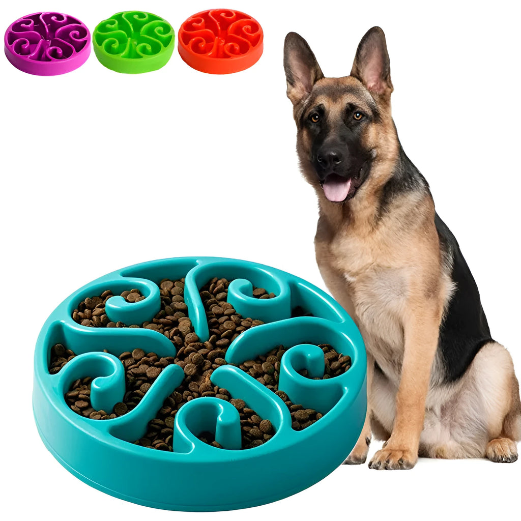 A coloured slow feeder dog bowl with a maze pattern inside and a wide non-slip base.