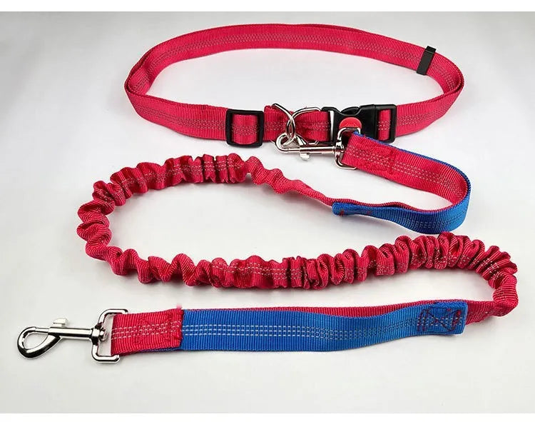 Grey and blue reflective elastic dog leash with nylon construction shown outdoors.