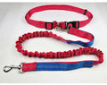 Grey and blue reflective elastic dog leash with nylon construction shown outdoors.