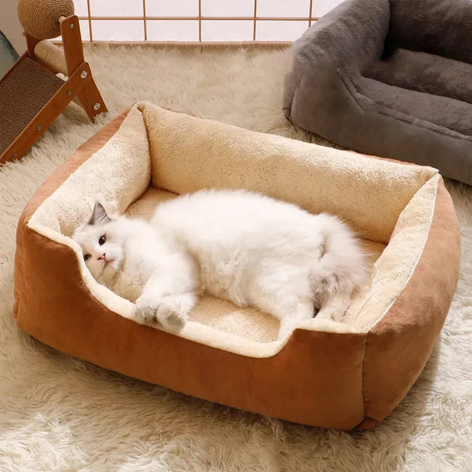 Short plush pet bed cushion shown in multiple colours and labelled sizes from S to XXL.