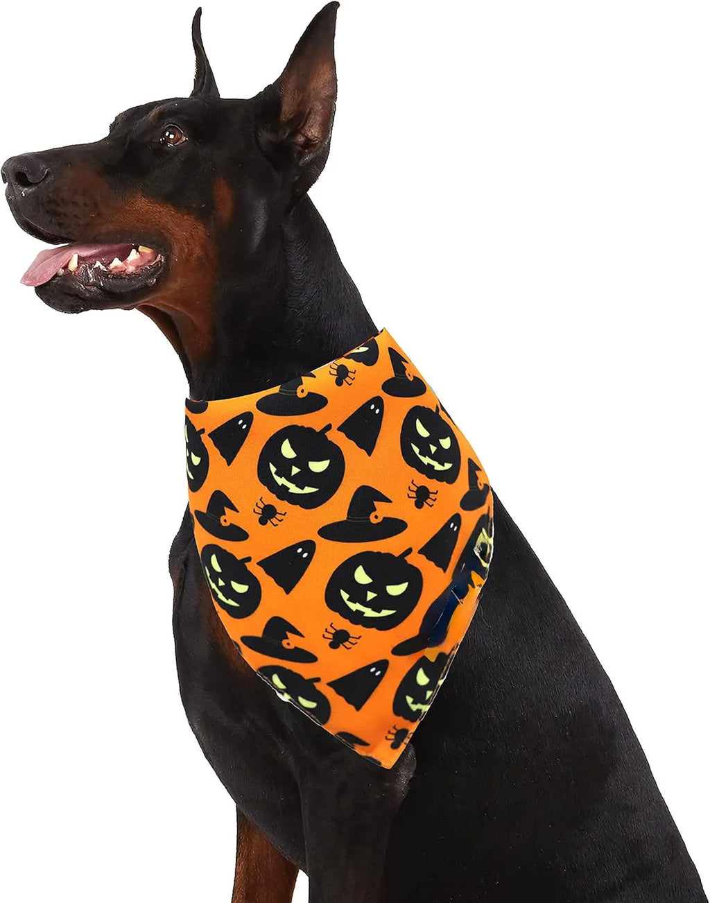 Black and orange reversible Halloween dog bandana with pumpkin and spider web patterns on a dog.