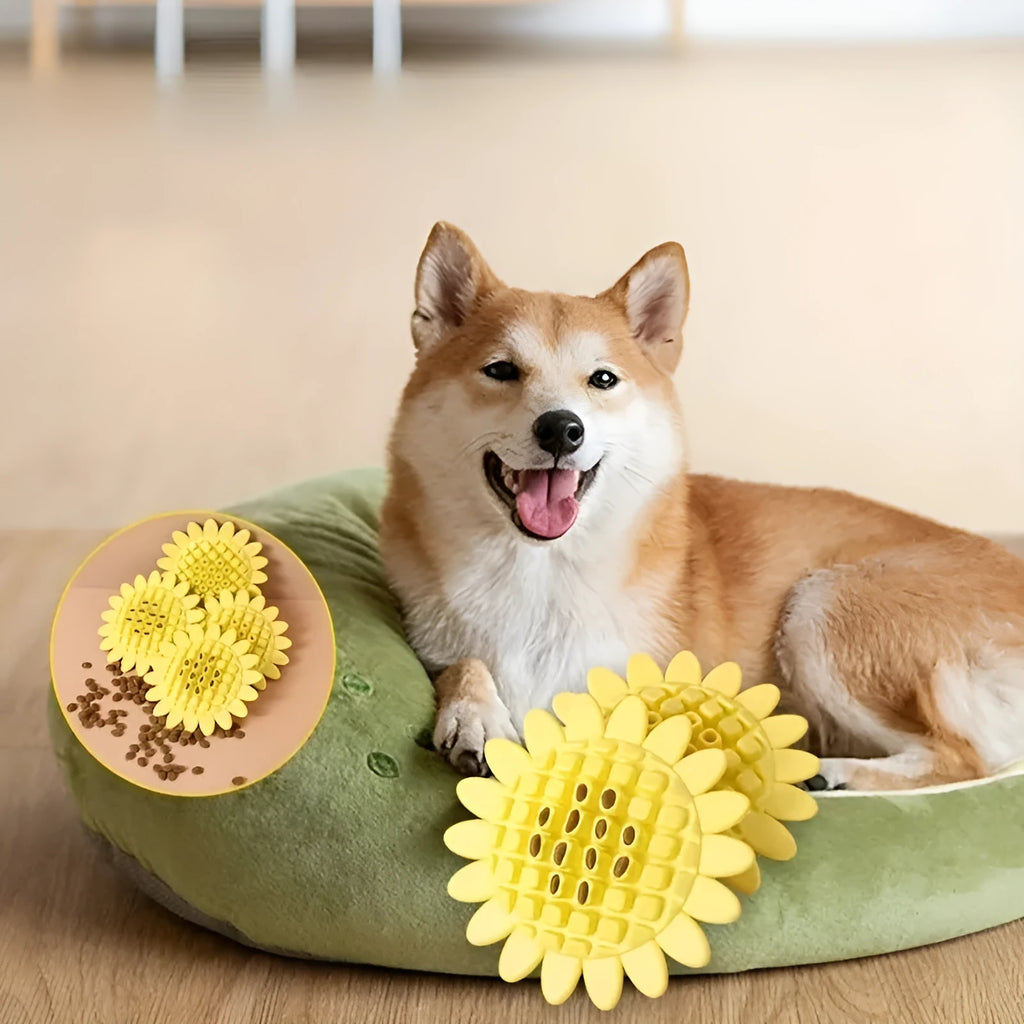 Yellow rubber sunflower dog toy for puppy teething with textured petal surface