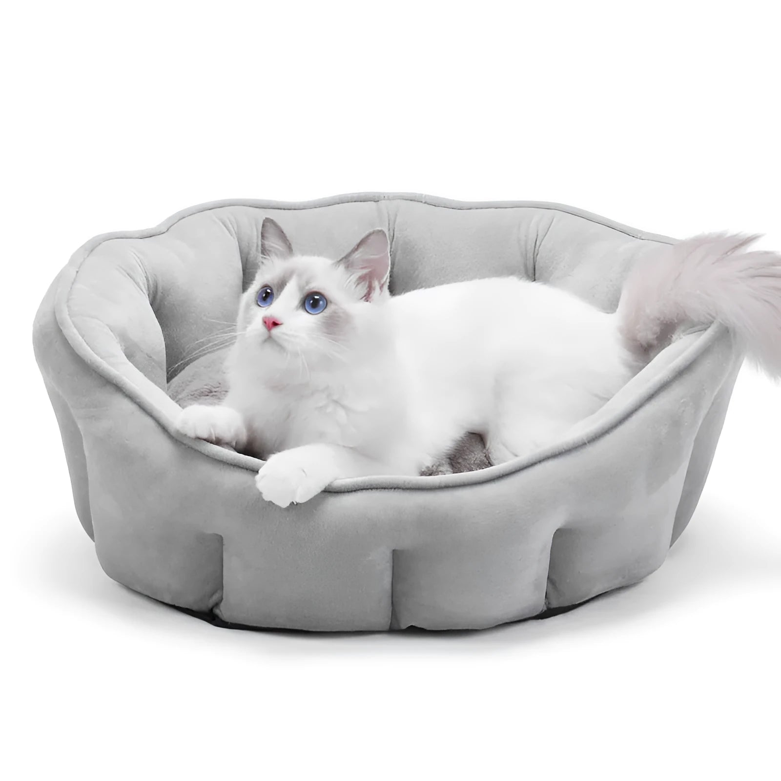 Grey plush cat kennel house with an integrated hammock, measuring 46cm wide.