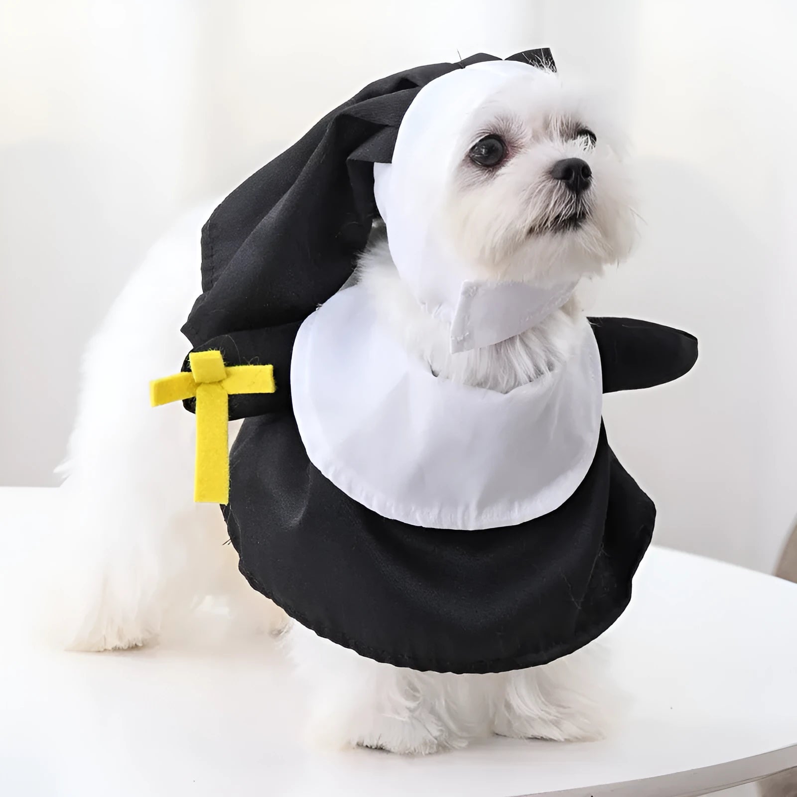 Black polyester nun Halloween costume for cats and dogs with free-size fit