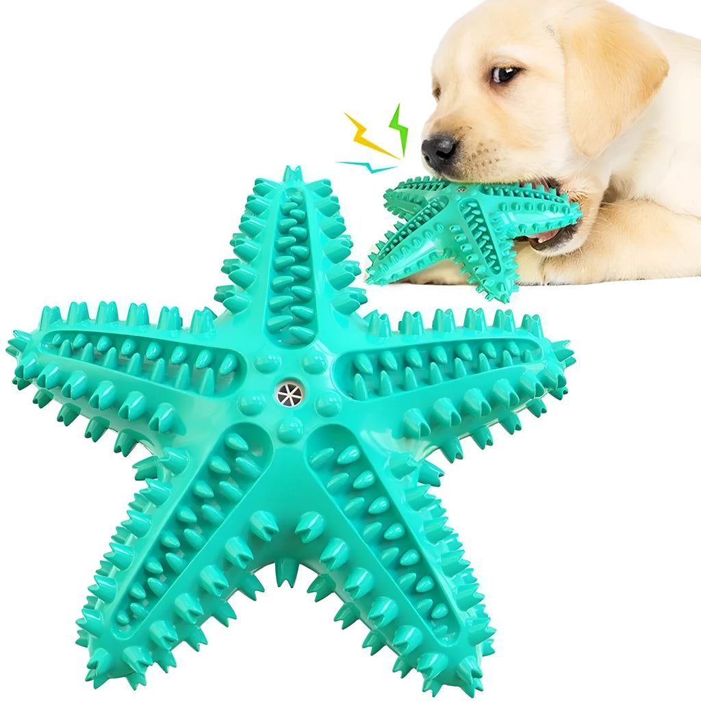 Edible TPR starfish-shaped dog chew toy with squeaker for large dogs in blue colour