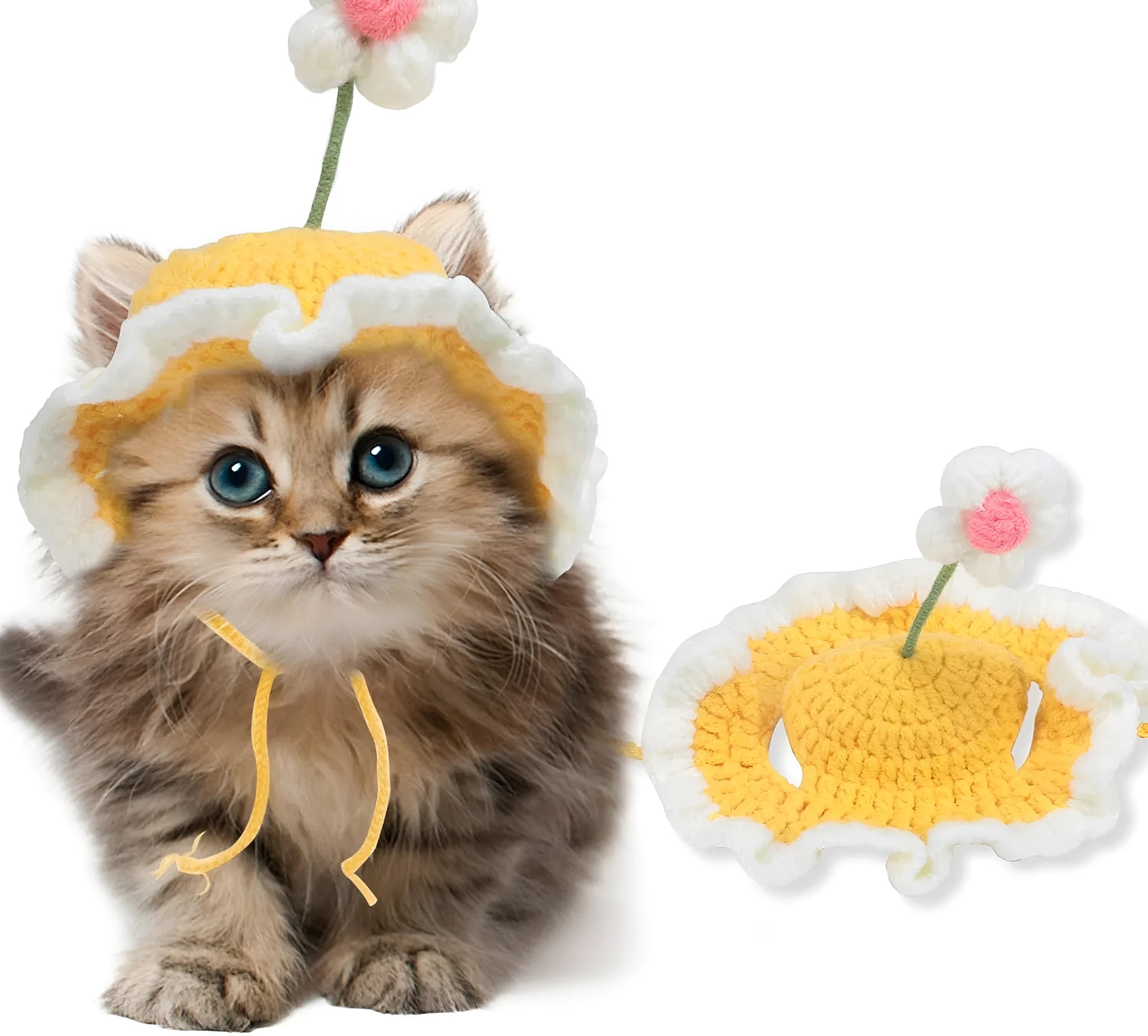 Green knit cartoon costume hat on a cat, showing soft fabric and design for parties.