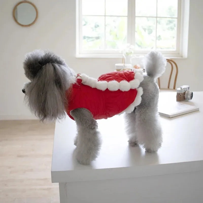 Red Chinese-style pet clothing with fur collar and traditional knot decoration for winter wear