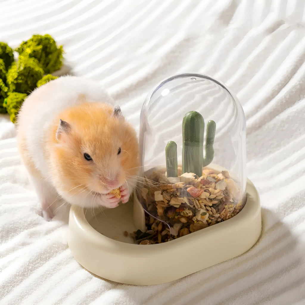 Creative cactus design hamster automatic feeder with transparent food compartment in mint green colour