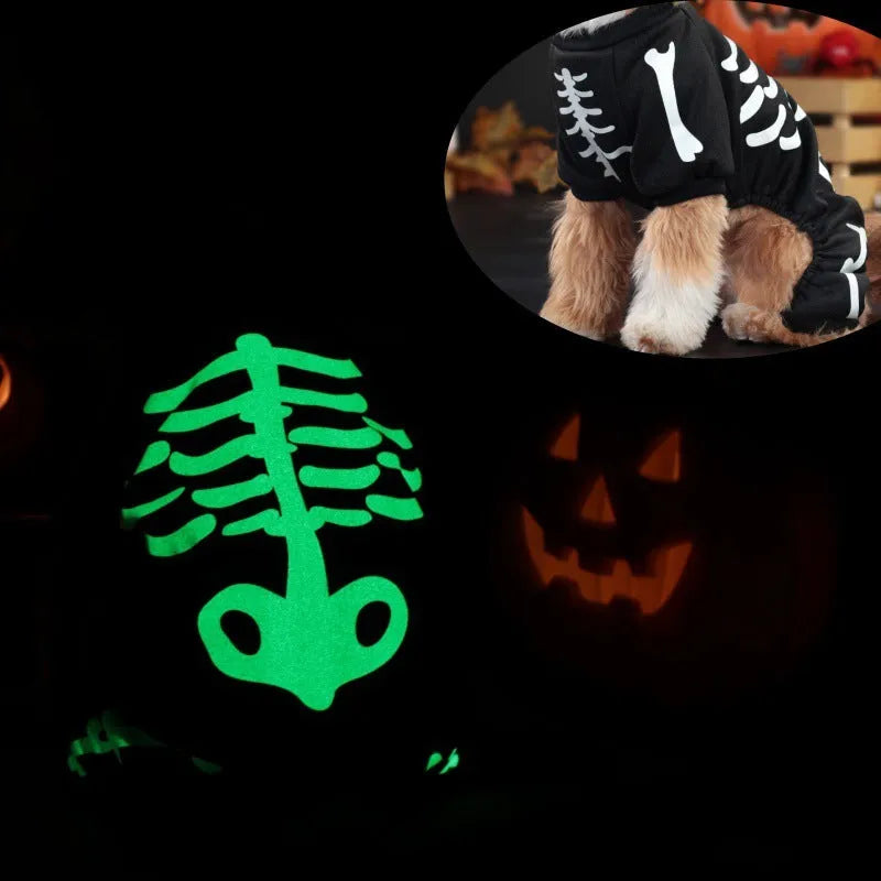 Halloween pet costume with luminous skeleton bones on dog showing four-legged design