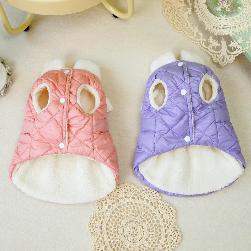 Small dog wearing pink angel design skirt with adjustable belly strap