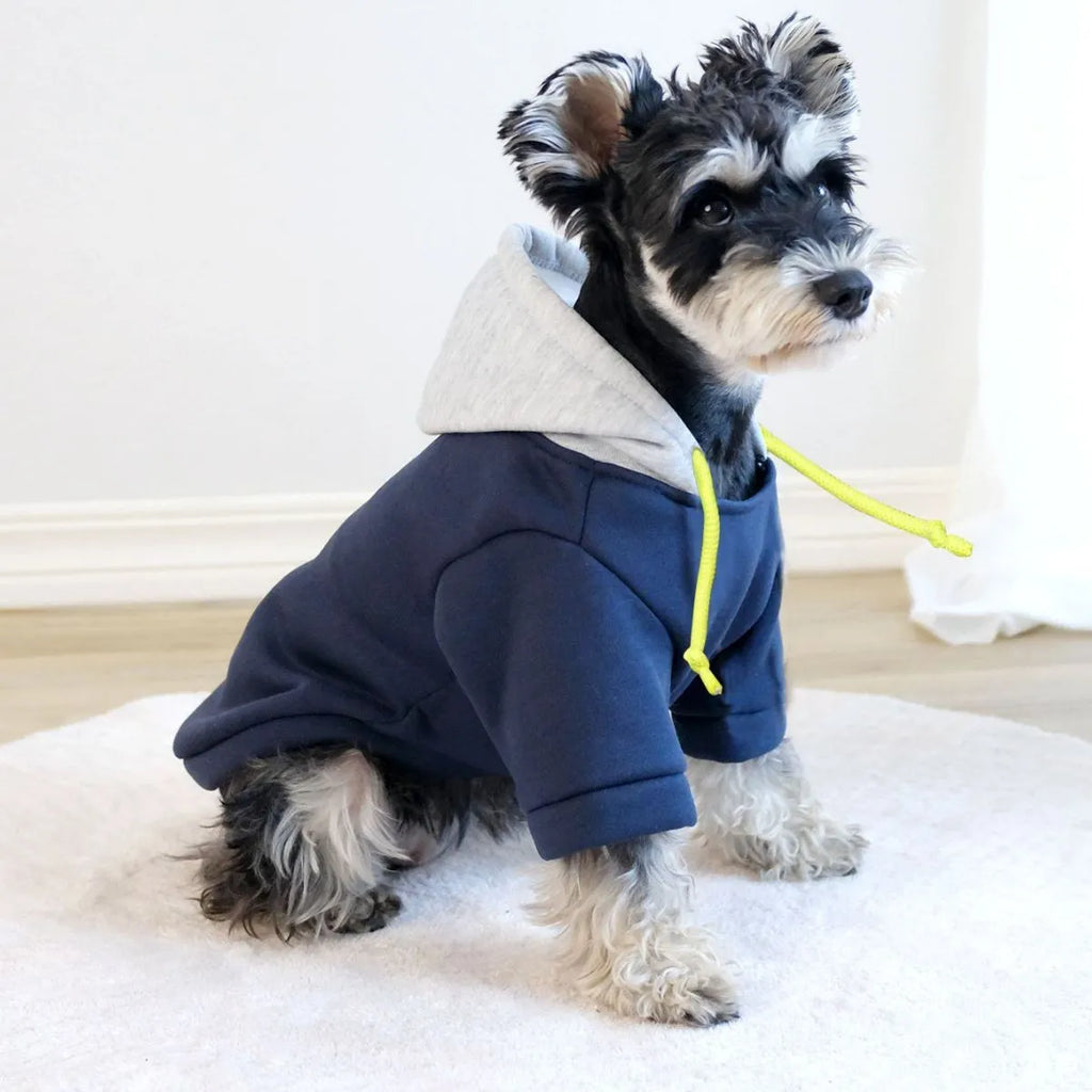British style pet hoodie with full zip closure in dark red or navy blue with contrast stitching