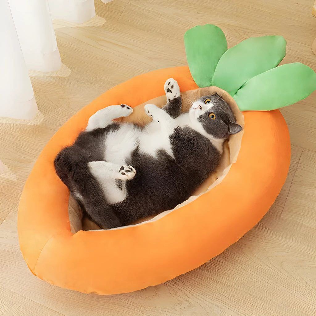 Carrot-themed double-sided washable cloth pet mattress for dogs, shown in medium and large sizes.