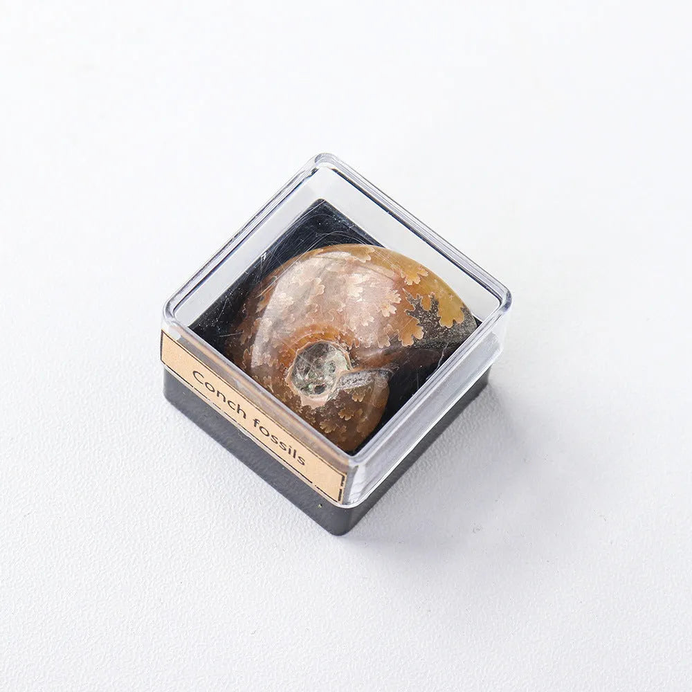 Natural amethyst crystal ore mineral specimen decoration in modern simple style