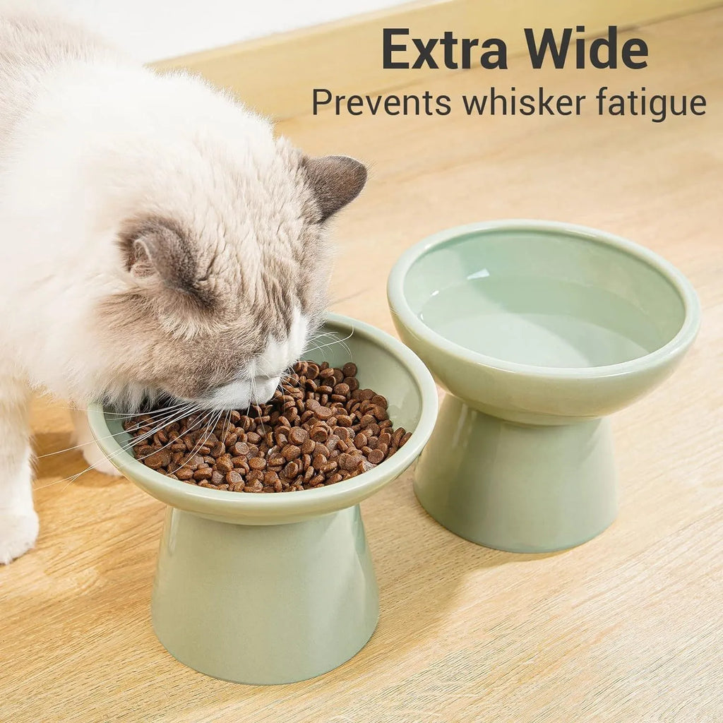 Blue ceramic elevated cat bowl with wide shallow design for food or water