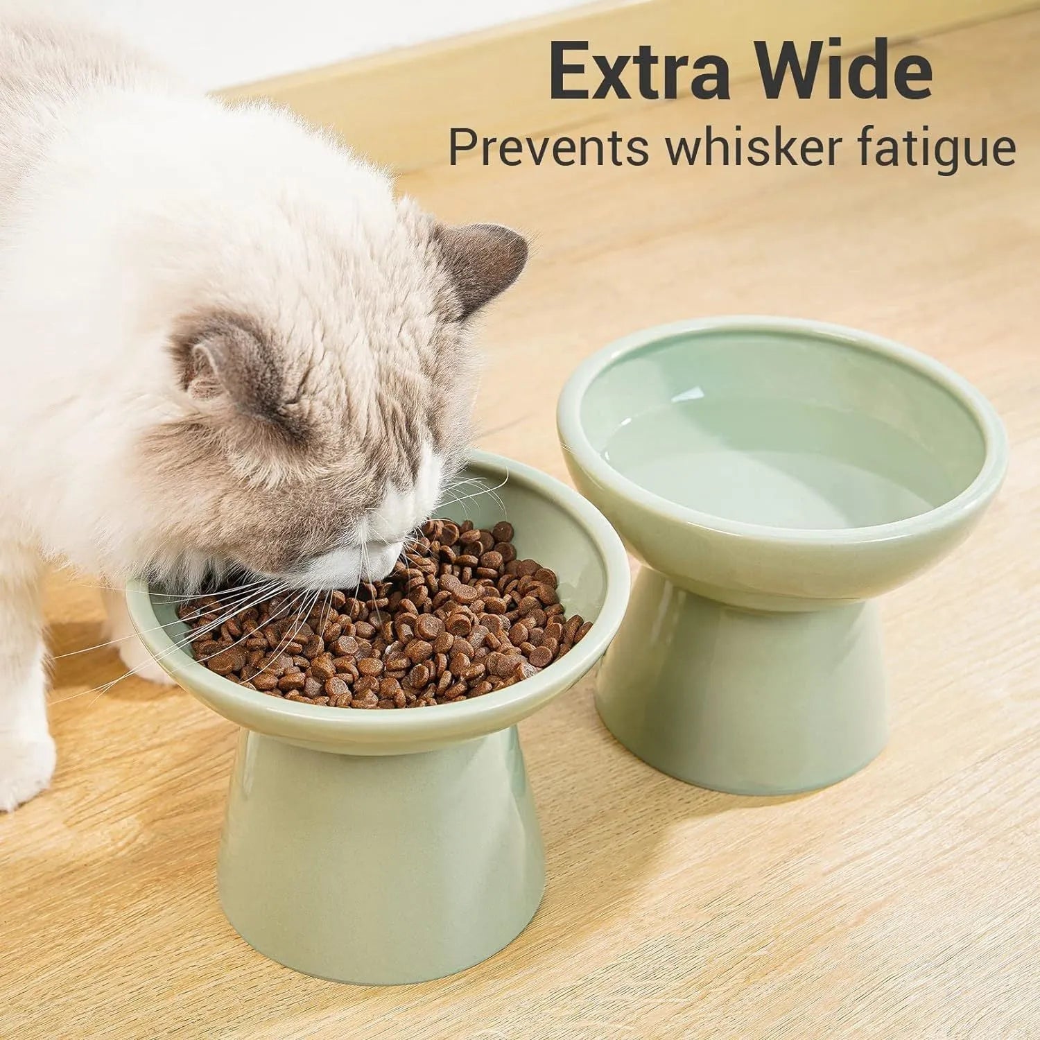 Blue ceramic elevated cat bowl with wide shallow design for food or water