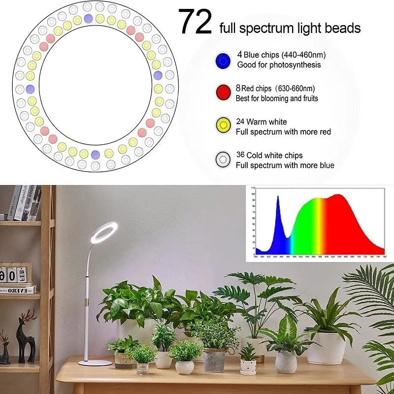 6-inch Angel Ring retractable floor plant grow light on a tall aluminium stand next to indoor houseplants.