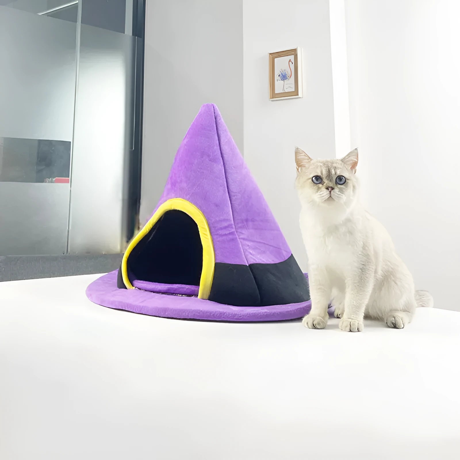 Purple witch hat shaped soft cloth cat bed for indoor use, measuring 60cm by 45cm.