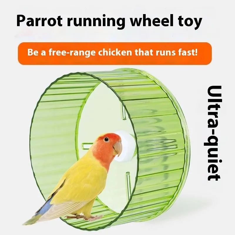A plastic parrot exercise running wheel toy shown in a transparent colour on a white background.