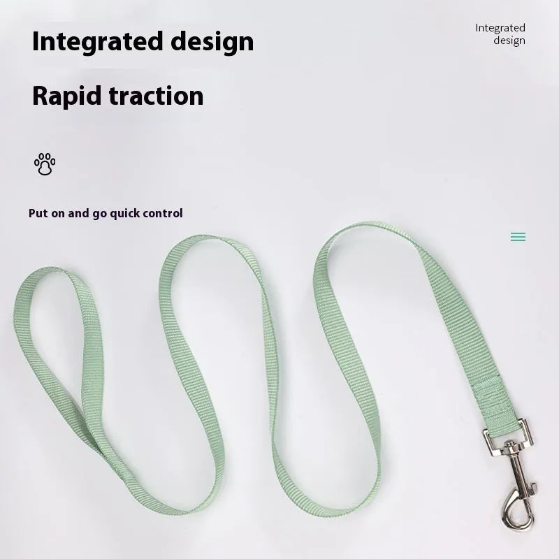 Solid colour nylon dog leash rope in blue showing hand-holding grip and length