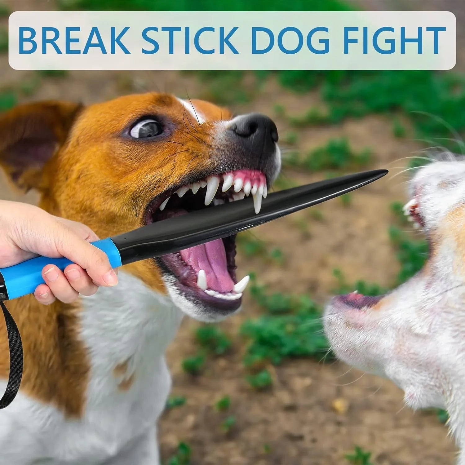 Blue-handled nylon dog break stick training tool, 35cm long, for small and medium dog bite prevention.