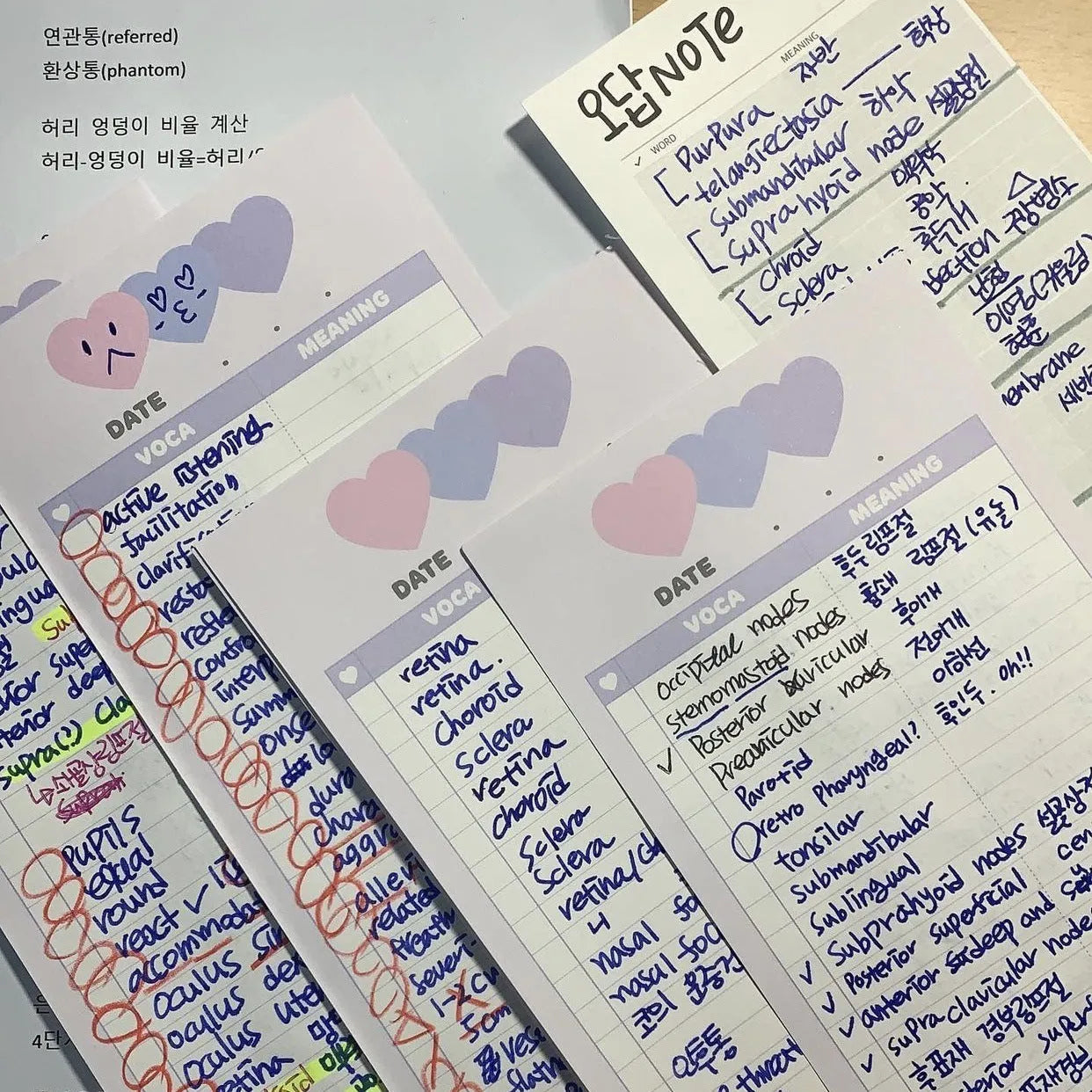 Half B5 vertical notepad in pink, purple or blue cover measuring 9.1 by 25.7 cm with 30 sheets