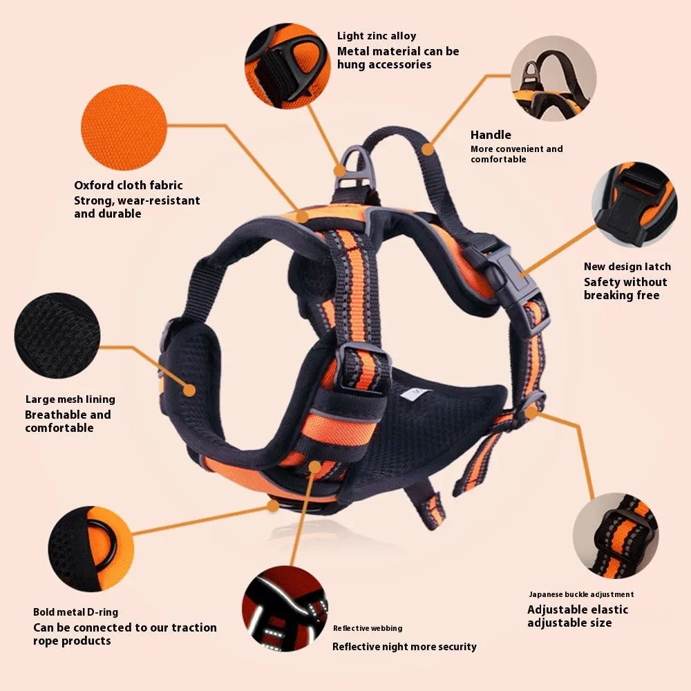 Adjustable Oxford cloth dog harness with a control handle on the strap, shown in a choice of colours.