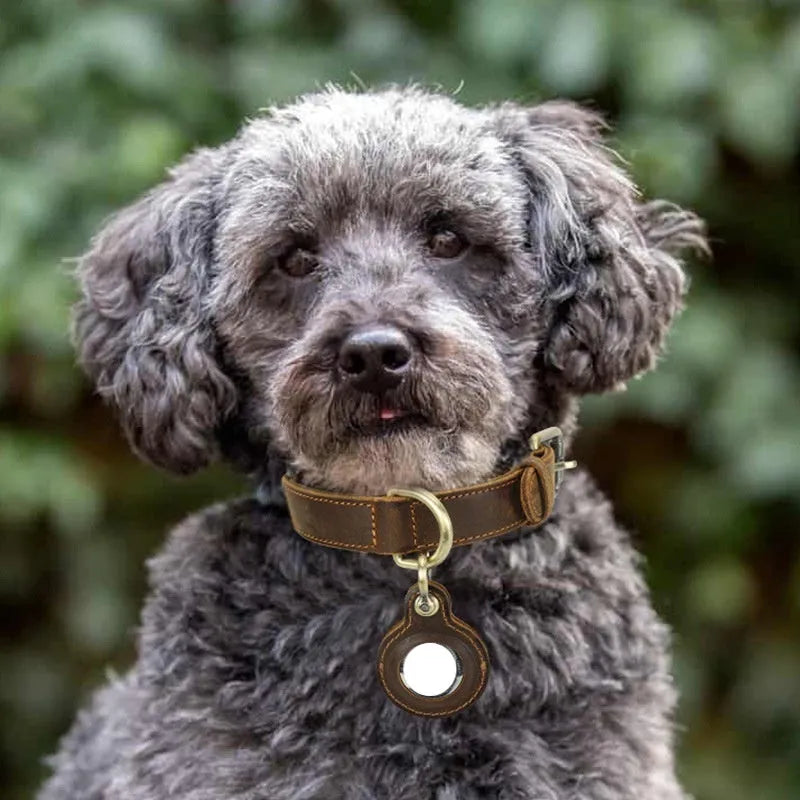 Brown genuine leather retro dog collar with double-sided cowhide construction and halter design