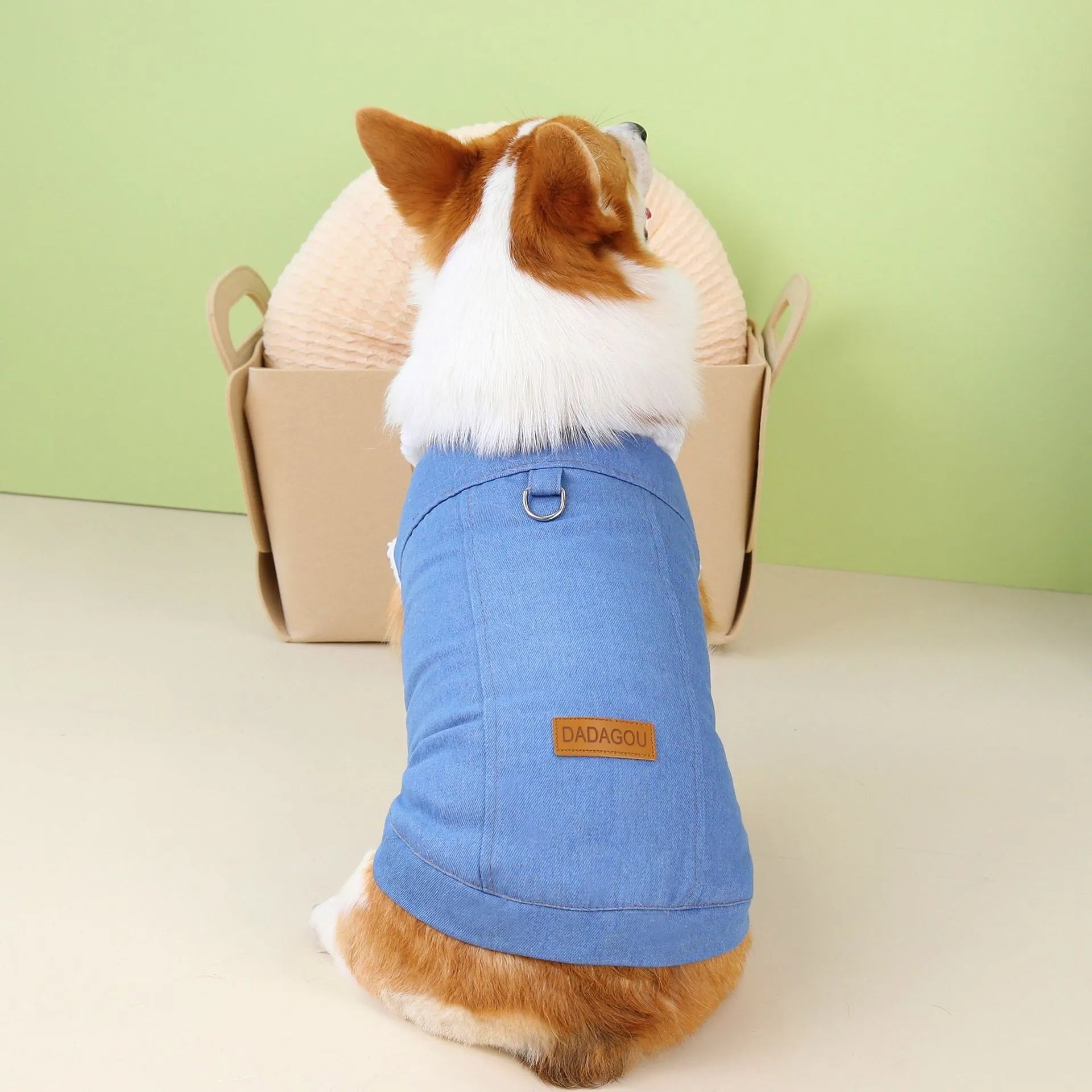 Blue denim cotton dog coat on a model, showing dark and light colour options for various dog sizes.