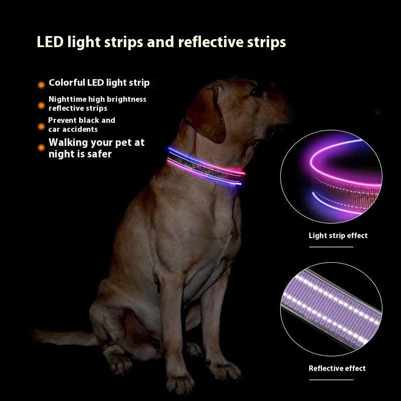 Blue and green plaid LED dog collar with reflective stripe and USB charging port.