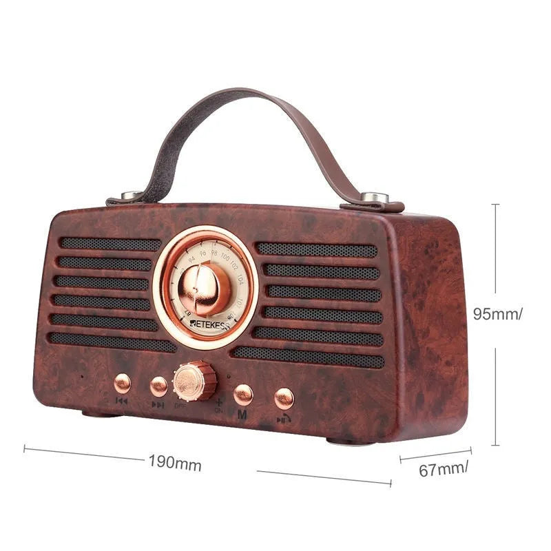 Portable rechargeable stereo dual channel radio with pointer tuning, USB interface, and built-in speaker, 190x95x67mm