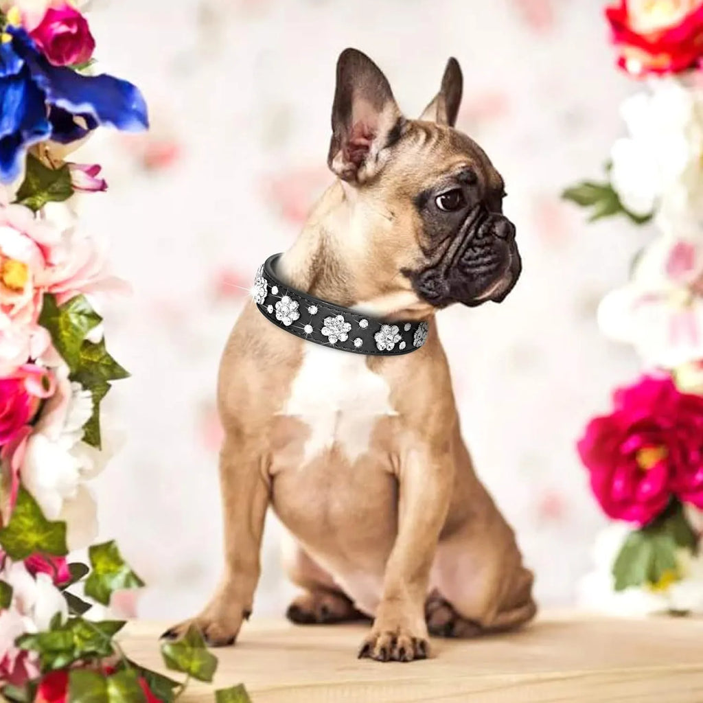 Decorative black dog collar with rhinestone flower pattern and studs on soft PU leather.