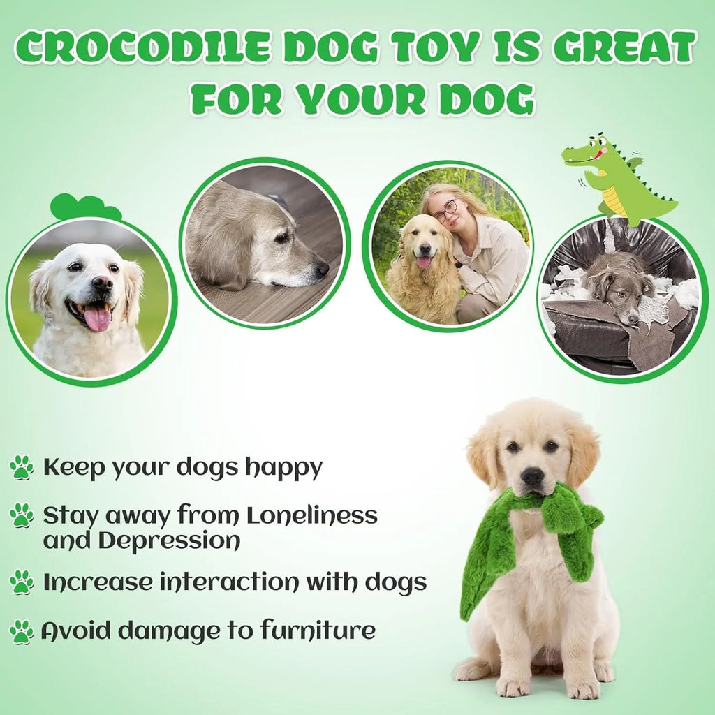 Green crocodile plush dog toy with no stuffing, showing squeaker in head and crinkle paper tail