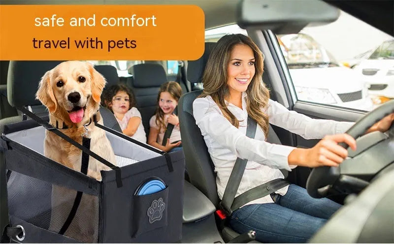 Black Oxford cloth collapsible pet crate for dogs, shown with measurements 49cm by 49cm by 38cm.
