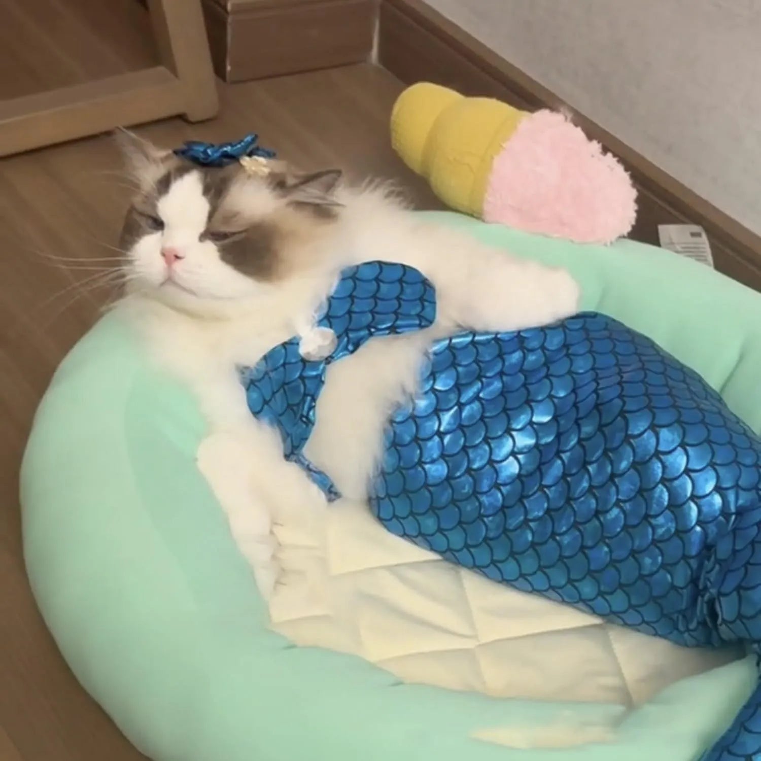 Blue pet mermaid costume with fish tail and elastic chest strap on small dog