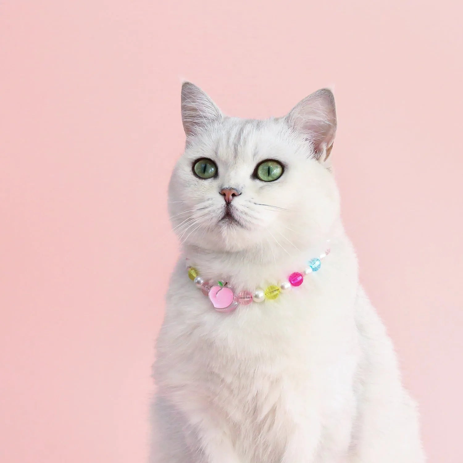 Colourful plastic cat necklace with bead patterns in rainbow, peach or small flower designs on adjustable 15-35cm collar